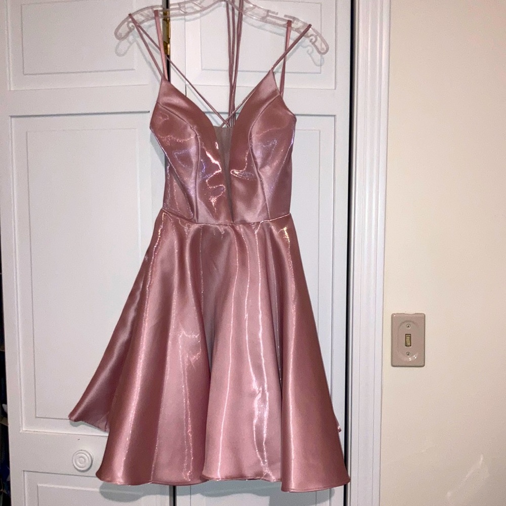 Blush Homecoming/ Prom Skater Dress